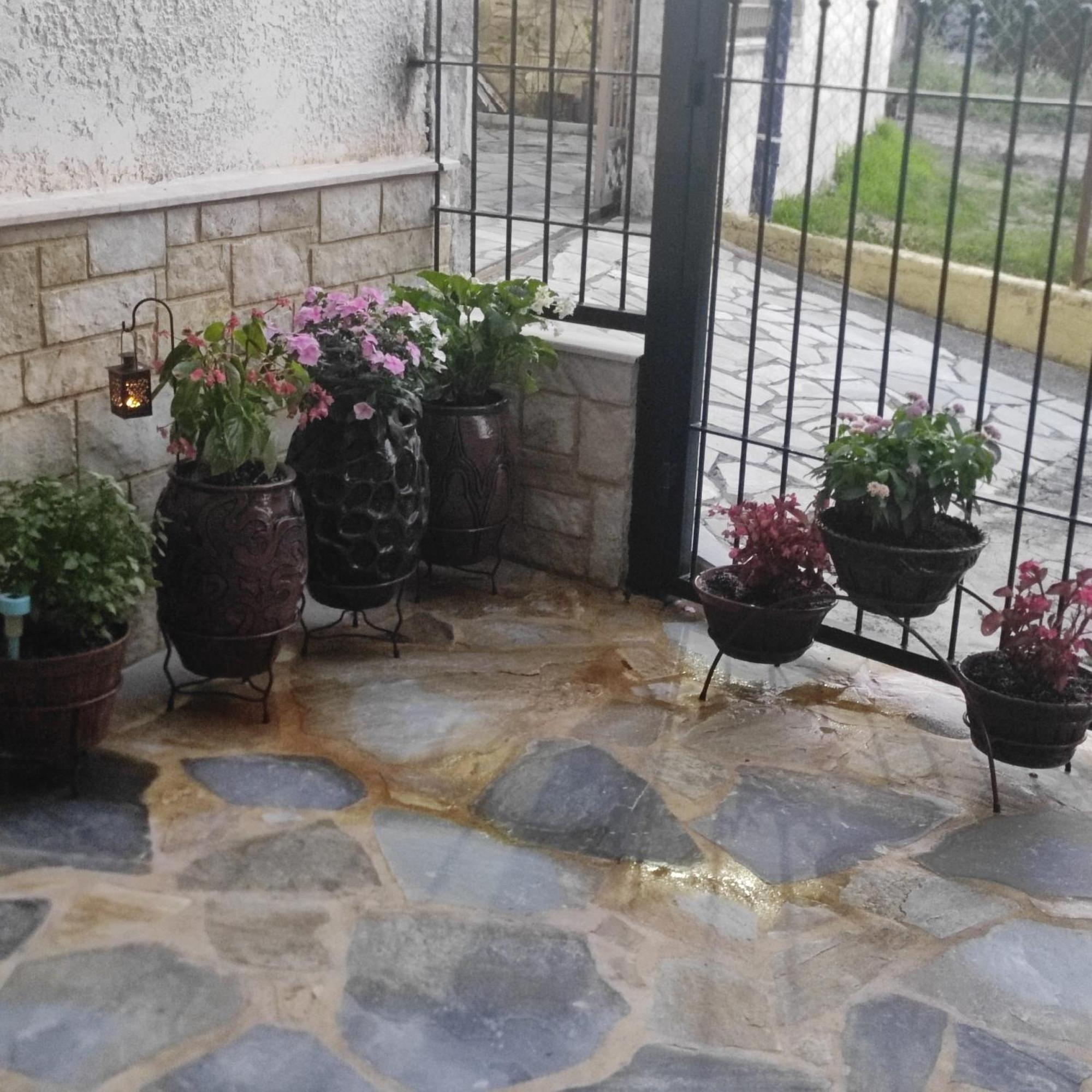Eleni-areti Apartment Pefkochori